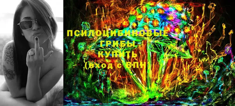 Галлюциногенные грибы Magic Shrooms  Малая Вишера 